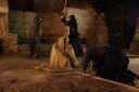 IMG_6765oo