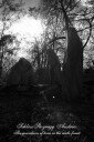 ghosts