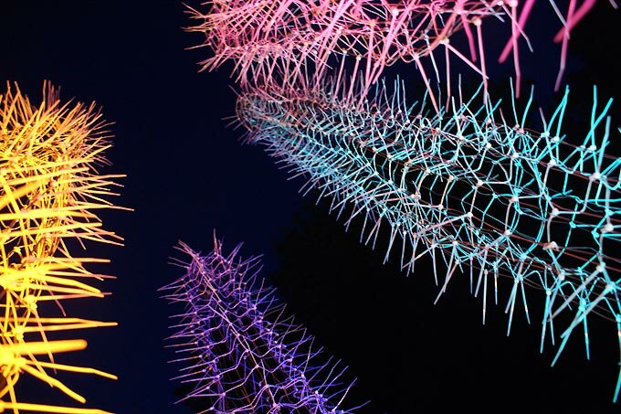 light-cacti-christoph-luckeneder